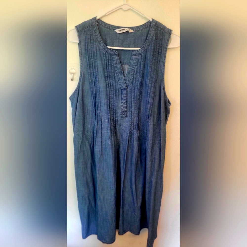 Large Denim Sonoma Dress